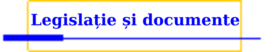 documente manageriale